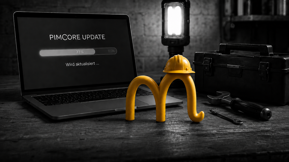 Erfahrungen aus Pimcore-Upgrades