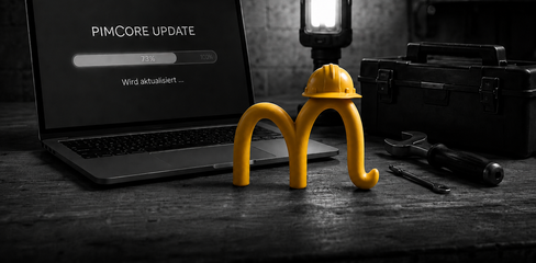 Erfahrungen aus Pimcore-Upgrades