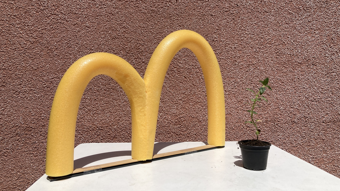 Gelbes "m" steht auf einenem Tisch neben einem kleinen Pflänzchen