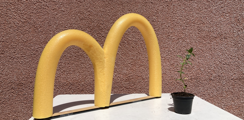 Gelbes "m" steht auf einenem Tisch neben einem kleinen Pflänzchen